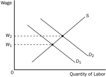 Figure 18-4    -Refer to Figure 18-4.If the relevant labor demand curve is D₂ and the current wage is W₁, A) there is a surplus of labor. B) there is a shortage of labor. C) the quantity of labor supplied exceeds the quantity of labor demanded. D) workers are failing to take into account the work-leisure tradeoff in deciding what quantity of labor to supply at alternative wages.