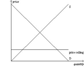 Figure 6-1 Panel (a)  Panel (b)      -Refer to Figure 6-1. The price ceiling shown in panel (b)  A)  is not binding. B)  creates a surplus. C)  creates a shortage. D)  Both a)  and b)  are correct.
