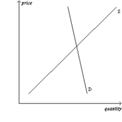 Figure 6-30 Panel (a)  Panel (b)      Panel (c)    -Refer to Figure 6-30. In which market will the tax burden be most equally divided between buyers and sellers? A)  the market shown in panel (a) . B)  the market shown in panel (b) . C)  the market shown in panel (c) . D)  All of the above are correct.