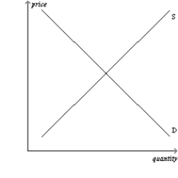 Figure 6-30 Panel (a)  Panel (b)      Panel (c)    -Refer to Figure 6-30. In which market will the tax burden be most equally divided between buyers and sellers? A)  the market shown in panel (a) . B)  the market shown in panel (b) . C)  the market shown in panel (c) . D)  All of the above are correct.