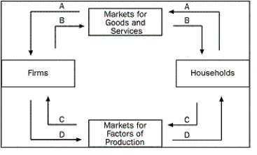 Figure 2-1    -Refer to Figure 2-1.Which arrow shows the flow of the factors of production? A) arrow A B) arrow B C) arrow C D) arrow D