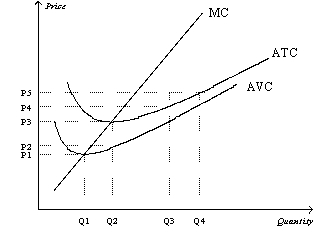 Figure 14-6 Suppose a firm operating in a competitive market has the following cost curves:    -Refer to Figure 14-6.Firms will be encouraged to enter this market for all prices that exceed A)  P1. B)  P2. C)  P3. D)  None of the above is correct.