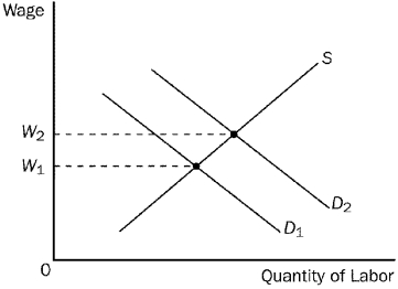 Figure 18-10    -Refer to Figure 18-10.If the relevant labor demand curve is D₂ and the current wage is W₁, A)  there is a surplus of labor. B)  there is a shortage of labor. C)  the quantity of labor supplied exceeds the quantity of labor demanded. D)  workers are failing to take into account the work-leisure tradeoff in deciding what quantity of labor to supply at alternative wages.