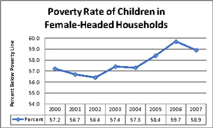 Figure 20-3 Panel A     Source: U.S. Bureau of the Census Panel B     Source: U.S. Bureau of the Census -Refer to Figure 20-3.Which of the following would be consistent with the data reported in Panel A? A)  Policies that attempted to reduce female poverty rates were relatively successful. B)  Policies that attempted to narrow the gap between male and female poverty rates were relatively successful. C)  Both a and b are correct. D)  Neither a nor b is correct.