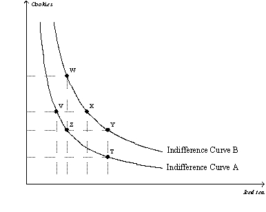 Figure 21-12    -Refer to Figure 21-12.Which of the following statements is correct? A)  The consumer prefers bundle Y to bundle Z. B)  The consumer is indifference between bundle X and bundle V. C)  The consumer prefers bundle Y to bundle X. D)  The consumer prefers bundle Z to bundle V.