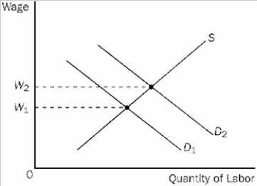 Figure 18-10   -Refer to Figure 18-10. If the relevant labor demand curve is D2 and the current wage is W1, A)  there is a surplus of labor. B)  there is a shortage of labor. C)  the quantity of labor supplied exceeds the quantity of labor demanded. D)  workers are failing to take into account the work-leisure tradeoff in deciding what quantity of labor to supply at alternative wages.