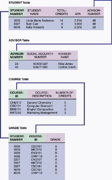 <strong> In the accompanying figure, a ____ is a field or combination of fields that uniquely and minimally identifies a particular member of an entity.</strong> A) primary key B) common key C) secondary key D) combination key