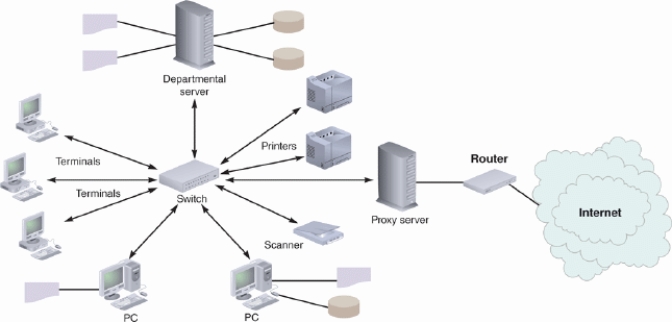 <strong> A ____, such as that illustrated in the accompanying figure, has a central networking device that manages the network.</strong> A) hierarchical network B) star network C) bus network D) ring network