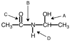Identify the amide bond in the following figure.   A)  A B)  B C)  C D)  D