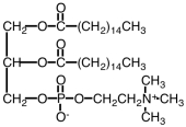 The structure below would be correctly be classified as a(n) ______.   A)  sphingolipid B)  phosphoglyceride C)  cephalin D)  Sphingolipid