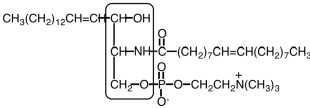 The region enclosed in the box in the following structure represents the sphingosine portion of the molecule.  