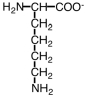 Which of the following is the best representation of an lysine in an aqueous solution at pH = 12? A)    B)    C)    D)   