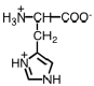 Which of the following is the structure for tryptophan? A)    B)    C)    D)   