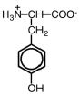 Which of the following is the structure for tryptophan? A)    B)    C)    D)   