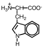 Which of the following is the structure for tryptophan? A)    B)    C)    D)   