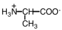 Which of the following is the structure for alanine? A)    B)    C)    D)   
