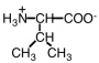 Which of the following is the structure for alanine? A)    B)    C)    D)   