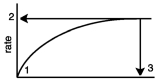 In the diagram,which number would represent V<sub>max</sub>?   A)  1 B)  2 C)  3 D)  either 2 or 3