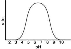 The following represents the results of an experiment on a metabolic enzyme.What is the optimum pH of this enzyme?   A)  3.0 B)  5.5 C)  6.5 D)  9.5