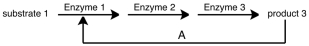 Consider the following figure.The step labeled A is known to reduce the activity of Enzyme 1.This would be described as what type of enzyme regulation?   A)  end product inhibition B)  feedback inhibition C)  allosteric inhibition D)  competitive inhibition