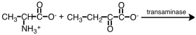 Consider the following reaction.   What would be the nitrogen containing product? A)    B)    C)    D)   