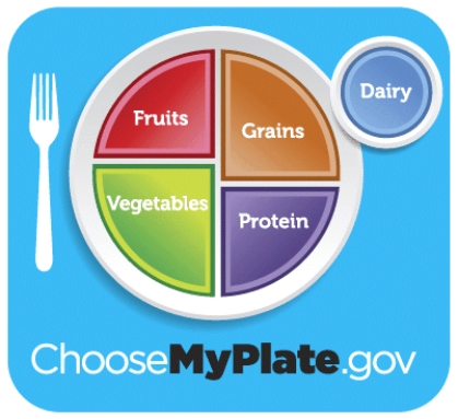 The MyPlate icon shows what a balanced meal should look like. Explain how the Dietary Guidelines for Americans and MyPlate are related.   