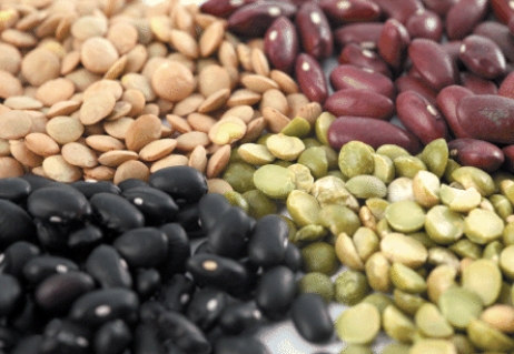 Which type of complex carbohydrates are depicted in the visual?   A)  Insoluble fiber B)  Starch C)  Soluble fiber D)  Starch and Soluble fiber