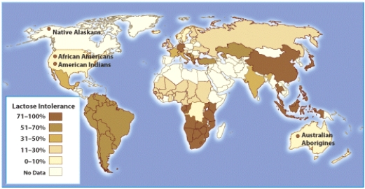 Which of the following statements regarding the incidence of lactose intolerance is incorrect?   A)  Native Alaskans have the lowest incidence of lactose intolerance. B) This map illustrates the dramatic variation in the incidence of lactose intolerance worldwide. C)  Different races and ethnicities have varying rates of incidence of lactose intolerance. D)  Those living in South America have the lower incidence of lactose intolerance than those living in southern Africa.