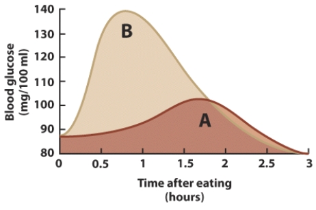 Line A shows the glycemic response after eating potatoes. Which of the following foods is most likely to cause a glycemic response similar to that shown in line A?   A)  Dinner roll B)  Peanut butter C)  Egg D)  Cheddar cheese