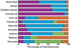 Based on the information presented in the graph, which food is highest in polyunsaturated fatty acid?   A)  Coconut oil B)  Olive oil C)  Salmon D)  Sunflower oil