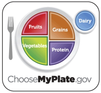 Based on the MyPlate icon, explain why consuming a variety of foods from all of the food groups is necessary to obtain the minerals. Be sure to name a few key nutrients from each food group.   