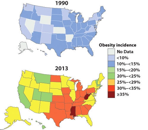 Based on these two maps representing the percentage of obese adults, which of the following statements is FALSE?   A)  Obesity throughout the United States is rising. B)  The southern states tend to have the lowest percentage of obese adults. C)  There has been a substantial increase in the number of obese adults in the majority of the states. D)  In 1990, several states didn't track obesity rates among adults.