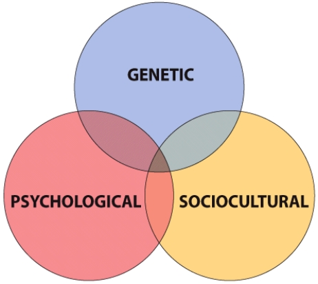 As illustrated in this visual, there are three intertwining factors that contribute to eating disorders. Discuss how an individual's genetic makeup can contribute to an eating disorder.   