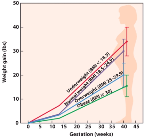 Based on this visual, the weight gain recommendations for women vary most during the _____ trimester.   A)  first B)  second C)  third