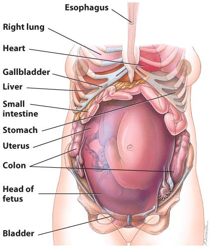 This graph show the changes to the gastrointestinal tract that occur when a women is pregnant. Why does heartburn occur during pregnancy? Is heartburn more likely to occur early or late in the pregnancy? Why does constipation occur during pregnancy? Is this more a problem early or late in the pregnancy?   