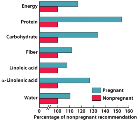 This graph illustrates the differences between the recommended daily intake of several key nutrients and energy. Which of the following statements is true?   A)  The water need is equivalent to one additional cup per day. B)  A simple snack of a fruit or nuts would help to achieve the increased fiber recommendation. C)  Energy needs are doubled during pregnancy. D)  As protein needs are greatly increased during pregnancy, amino acid supplements are often recommended.