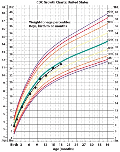 This graph charts the growth rate of the infant. Which of the following is the correct interpretation of the information provided in this graph?   A)  The infant's birth weight is much higher than the general population. B)  The infant had weight gain that was much greater than expected from 15 to 18 months of age. C)  The infant's birth weight is lower than the general population and has remained at this percentile into childhood. D)  This infant experienced catch-up growth between 3 and 6 months of age.