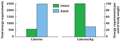 Based on the information presented in this graphic, which of the following statements is FALSE?   A)  The total amount of energy required by a newborn is less than the amount needed by adult. B)  An infant's need for calories per kilogram of body weight is greater than those needed by an adult. C)  An infant's need for calories per kilogram of body weight is less than those needed by an adult. D)  The total amount of energy needed by an adult is greater than that needed by an infant.