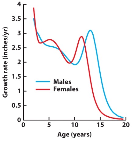 Based on the research depicted in this visual, adolescent peak growth velocity begins for females before it begins for males.   