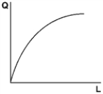   With a quadratic production with fixed capital Q = A + BL + CL<sup>2</sup> and the shape shown above,A is A) positive and greater than B. B) positive and less than B. C) zero. D) negative.