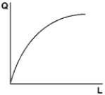   With a quadratic production with fixed capital Q = A + BL + CL<sup>2</sup> and the shape shown above,B is A) positive. B) zero. C) negative and less than C. D) negative and greater than C.