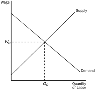 Figure 20-5   -Refer to Figure 20-5. An effective minimum wage would be set at a level A) above W<sub>o</sub>, and employment would rise above Q<sub>o</sub>. B) above W<sub>o</sub>, and employment would fall below Q<sub>o</sub>. C) below W<sub>o</sub>, and employment would rise above Q<sub>o</sub>. D) below W<sub>o</sub>, and employment would fall below Q<sub>o</sub>.