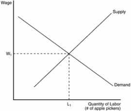 Figure 18-9   -Refer to Figure 18-9. If the price of apples decreases, the equilibrium wage will A) increase, and more apple pickers will be hired. B) decrease, and more apple pickers will be hired. C) increase, and fewer apple pickers will be hired. D) decrease, and fewer apple pickers will be hired.