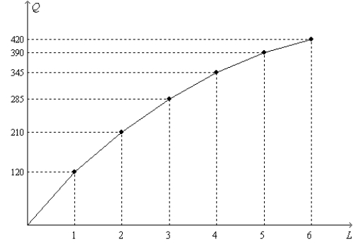 Figure 18-1 On the graph, L represents the quantity of labor and Q represents the quantity of output per week.   -Refer to Figure 18-1. Suppose the firm sells its output for $12 per unit, and it pays each of its workers $700 per week. How many workers will the firm hire to maximize its profit? A) 2 B) 3 C) 4 D) 5