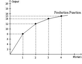 Figure 18-3   -Refer to Figure 18-3. What is the marginal product of the second worker? A) 4 units B) 6 units C) 8 units D) 12 units