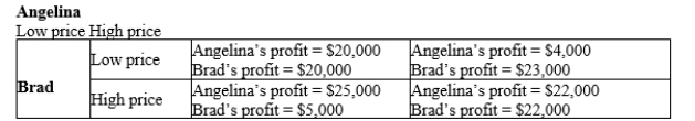 Table 17-32 Suppose that Angelina and Brad own the only two professional photography stores in town. Each must choose between a low price and a high price for senior photo packages. The annual economic profit from each strategy is indicated in the table below: Refer to Table 17-32. Does Brad have a dominant strategy? If so, describe it.