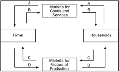 Figure 2-1   -Refer to Figure 2-1. Raymond buys a refrigerator for his new home. To which of the arrows does this transaction directly contribute? A) A only B) A and B C) C only D) C and D