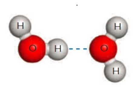Figure 2.9B    -The dashed line in the accompanying figure represents a(n)  ____. A)  ​covalent bond B)  ​ionic bond C)  ​hydrogen bond D)  ​polar covalent bond E)  ​hydrophobic interaction 
