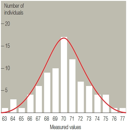 Figure 13.17    -A graph of phenotypic variation similar to the accompanying illustration strongly suggests A)  ​incomplete dominance. B)  ​codominance. C)  ​epistasis. D)  ​polygenic inheritance. E)  ​environmental effects on phenotype. 