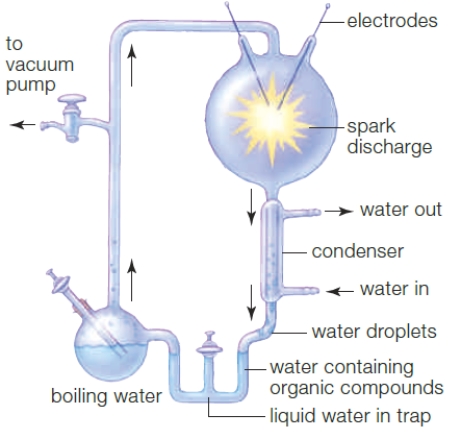 Figure 19.3    -The area in which there is a spark discharge in the accompanying figure represents ____. A)  ​sunlight energy in the environment. B)  ​heat energy in the environment. C)  ​electrical energy in the environment. D)  ​ionizing radiation in the environment. E)  ​the explosion of the hydrogen gas to release energy for the reactions. 